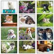 2026 Promotional calendar Puppies & Kittens, Stapled, Item BC-210 monthly images