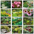 2026 Promotional calendar Gardens, Item BC-220 monthly images