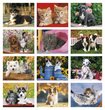 2026 Promotional Wall Calendars