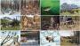 Larry Anderson Wildlife Art 2023 Wall Calendar Item # TA-1950 monthly images view